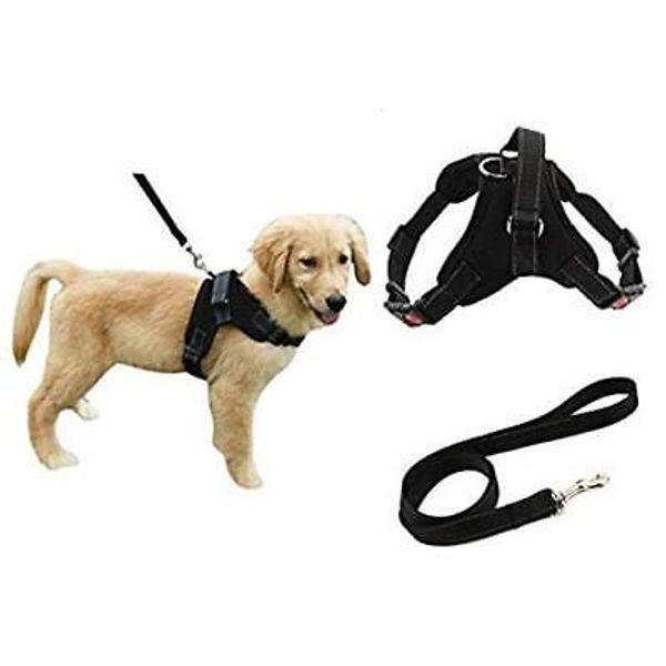 Heavy Duty Dog Harness Pet Leash Lead Set for Small Black Harness + Black Leash