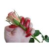 Fat-catz-copy-catz Long Square Dark Red Full Cover False Nails - 500 per pack