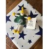 Siesta 'Good Luck' Colourful Felt Fairy/Pixie with Message Gift Tag