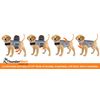 Thundershirt dogs clothing Thundershirt Dog Anxiety Jacket, Platinum, Small