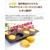Asai Shoten Original Super Silicone Processing Lemon Mold 8P
