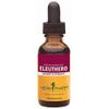 Eleuthero Siberian Ginseng Extract 1 oz  by Herb Pharm