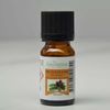 Zen Aroma Essential Oil - Forest Pine - 10ml-
