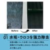 Elephant Scale Removal (Small)