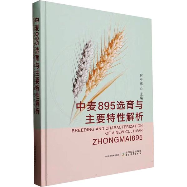 中麦895选育与主要特性解析 中国农业出版社