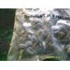 100 Pack White Tip 3/4" Inch Torx Self Tapping Sheet Metal Cargo Trailer Screws