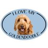 Imagine This Oval Magnet, I Love My Goldendoodle Small