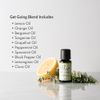Ellia Diffuser Essential Oil | Get Going Blend| 15ml, 100% Pure, Therapeutic Gr