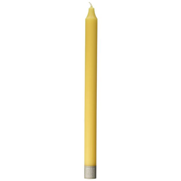 Northern Lights Candles Premium Tapers 12" 12PK - Lemon Zest - 72785