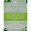 Soap & Paper Factory Roland Pine 3.65 Oz Reed Diffuser Oil Refill