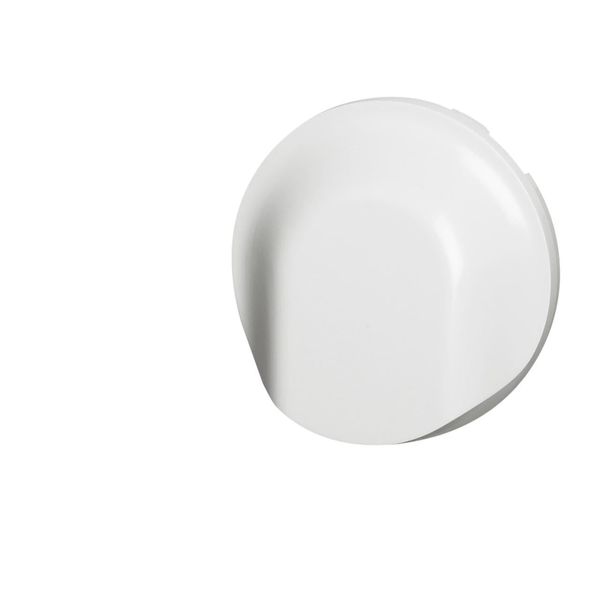 Legrand 068141 Celiane Cover for Cable Outlet, White