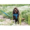 Ancol Viva Padded Harness Blue M 41-53cm