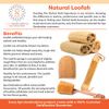 The Utimate Loofah Back Brush with detachable handle by Spa Destinations®"Creating The Perfect Bath and Shower Experience"