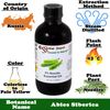 Fir Needle Essential Oil - 4oz