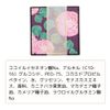 Dachun Soap Shampoo Bar (Rose Hip)