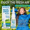 NutriBiotic Nasal Spray Plus with GSE & Herbal Extracts, 1 FL OZ