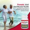AstaFactor Silver Lifestyle Astaxanthin Supplement 60 Softgels