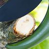 Kakuri Sangyo SGS-30 Gardening Pro Power Up Pruning Shears Replacement Blade Type