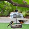 Crystals Bird Feeder Station Height Adjustable Baffle Dome Peanut Seed Feeder Hanging, Transparent