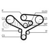 CT1135 CONTITECH Timing Belt First Equipment Quality "T
