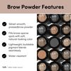Color and Control Brow Kit (Raven)
