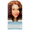 (2 Pack) - Tints of Nature - Soft Copper Blonde | 120ml | 2 PACK BUNDLE