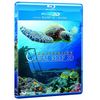 3D Coral Reef (Blu-ray 3D + Blu-ray) [2012]