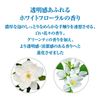 [Bulk Purchase] SENKA Perfect Whip Speedy x 2 + Bonus