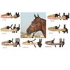 Classic Equine Braided Inlaid Rawhide Rope Halter, Black