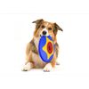 TROT Disk Frisbee for Dogs