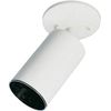 Quorum 3128-1-6 Semi Flush Mount, 1-Light, 60 Watts, White