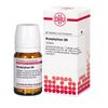 DHU Bryophyllum D6 Tabletten, 80 St. Tabletten
