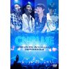 SPRING LIVE 2016~We're like a puzzle~【DVD】