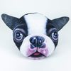 Proguard Pets Pet Face Pillows (8.) Striped Cat