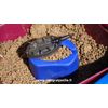 Matrix Squeeze and Feed Method Mold, Medium, Soft Malleable Material