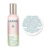 Beauty Elixir, Illuminante