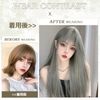 Hawkko Wig, Long, Straight, Full Wig, Natural, Cosplay, Women's Wig, Small Face, Popular, Heat Resistant, Harajuku Style, Fashion, Net Included (Silver Gray)
