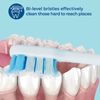 Reach Sonic USB Electric Toothbrush, Soft, Includes Toothbrush Handle, Brush Head, Toothbrush Cap, Travel Case and Toothbrush Stand