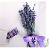 Institut Karite Paris So Wonderful Lavender Light Shea Hand Cream 30 ml Tube Only