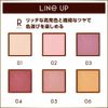Excel Eye Planner R02 Eyeshadow, Color: Ceremony, 0.04 oz (1.2 g), 1 count
