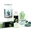 Pretty Valley Home Cactus  Ceramic Diffuser Combo (Honeysuckle) Scent 200ml