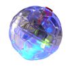 ETHICAL PRODUCTS INC LED Motion Cat Ball