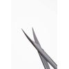 Rubis Small Scissors Colibri [Taper] [Official Product]