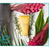 Epicuren Discovery Rosemary Lave, 2.5 oz.