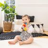 Baby Einstein Shake-a-Shape Zen Multi-Sensory Teether 3 Months and Up