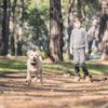 2PCS Electric GPS Tracker Dog Fence Pet Containment System Rechargeable Collars