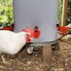 DoubleWood 36Pack Fully Automatic Poultry Drinking Machine Chicken Drinking Cup, Chicken Drinking Watering Cups/Poultry Drinking Machine (36)
