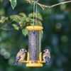 Ring-Pull TO N1Y Small Bird Feeder for Niger Seeds - Yellow