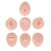 Soft Silicone Flexible Model Body Part Displays Set, Silicone Tongue Mouth Nose Eye Navel Ear Model for Piercing Practice and Jewelry Display Acupuncture Teaching Tool, Education (Light Skin Colour)