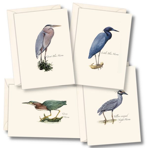 Earth Sky + Water - Heron Assortment Notecard Set - 8 Blank Cards with Envelopes (2 each of 4 styles)